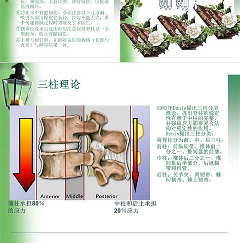 后路